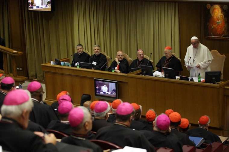 The Amazon and Germany - A tale of two synods